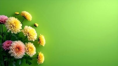 护眼清新简约鲜花