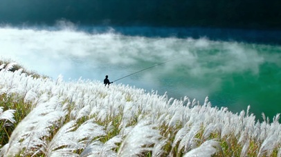 晨雾湖畔芦苇垂钓美景