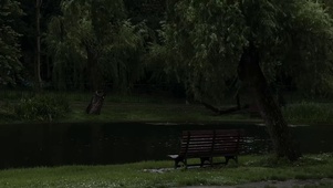 雨天公园湖边