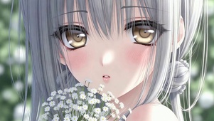 雏菊少女