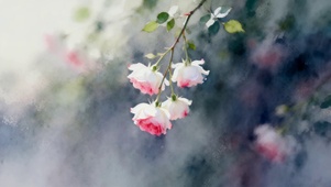 唯美小清新鲜花