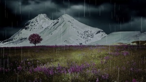 夜雨