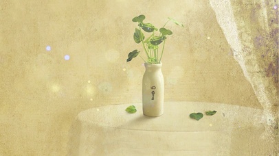 唯美简约壁纸花瓶插花