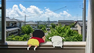 窗台小新小白