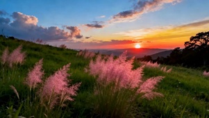 护眼夕阳花草树木