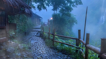 雨天树木带鱼屏