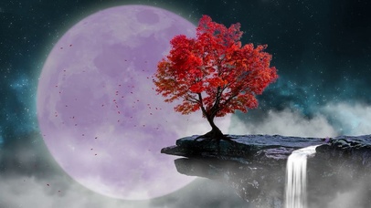 花好月圆