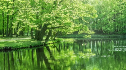 公园树林，湖光粼粼