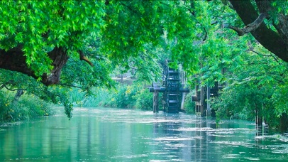 清新绿树流水