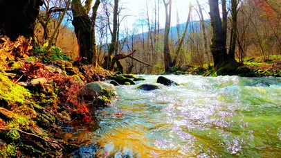 唯美小河流水4K