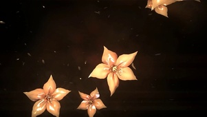 花儿