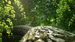 治愈雨声