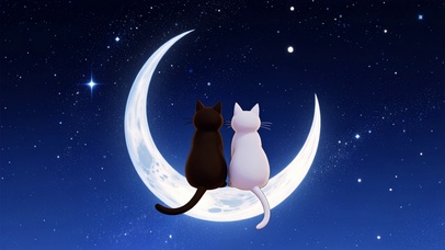 月夜双猫