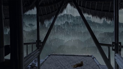 村庄小猫看暴雨