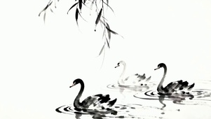 护眼小清新