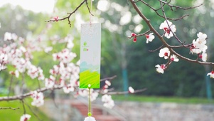 4K春季节气日24节气谷雨