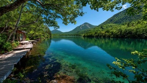 护眼绿景树木河流