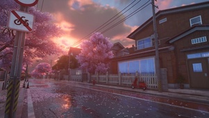 雨天樱花街道