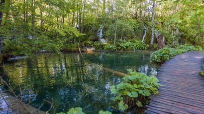 美丽的自然之声