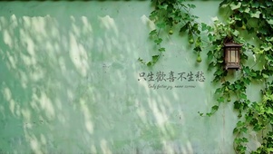 只生欢喜不胜愁