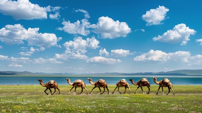 沙漠悠扬的驼铃