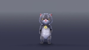 斑布猫-Dance