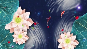 荷花池鲤鱼