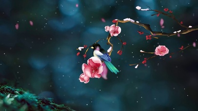 喜鹊登梅-好运连连-4k唯美