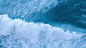 大海美丽的海浪