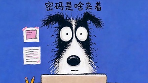 开机密码啥来着