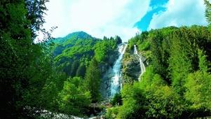 4K唯美山涧瀑布溪流