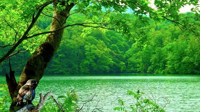绿林碧水湖