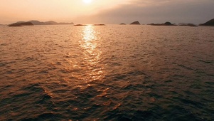 大海