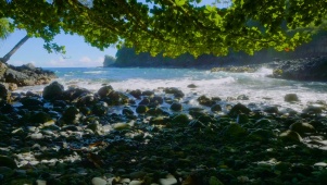 放松绿树海浪