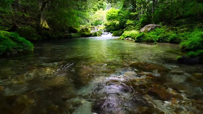 夏日凉爽溪流
