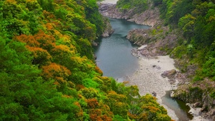 秋林山水