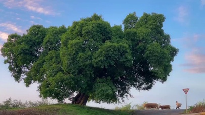 该怎么形容这种感觉