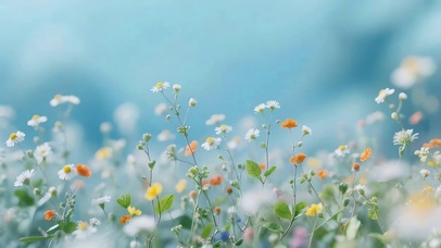 治愈小清新鲜花