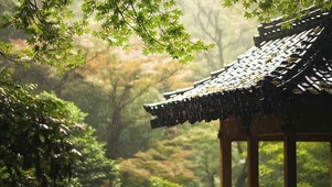 绿意雨天森林古亭雨滴