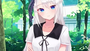 白银圭