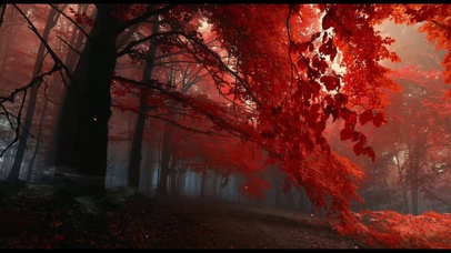RedForest