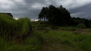 老家的田野