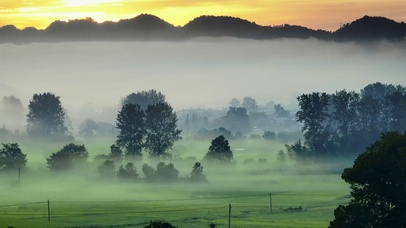 秘境一般的清晨