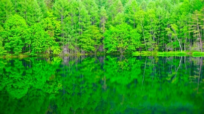 4K护眼绿林镜湖