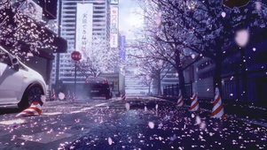看着樱花想你——起风了