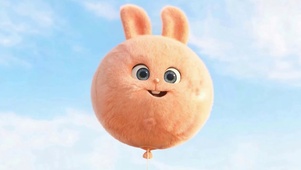 萌宠兔子