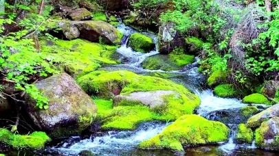 护眼清凉流水4K