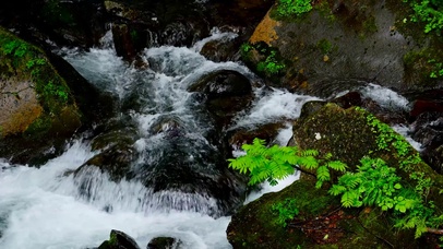 清凉溪水