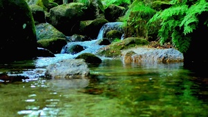 治愈小河流水