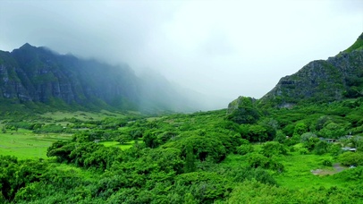 4K护眼相间美景